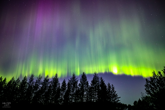 aurora boreale in Ontario, Canada