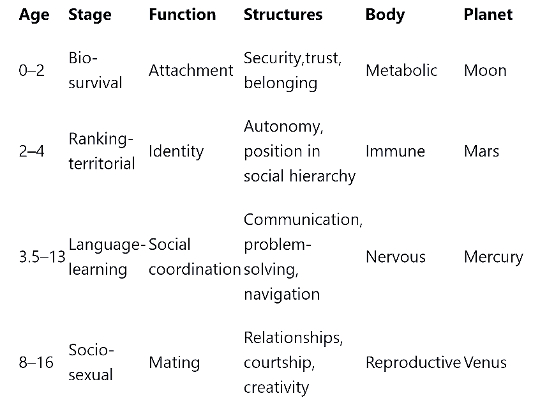 FOUR STAGES IN HUMAN DEVELOPMENT