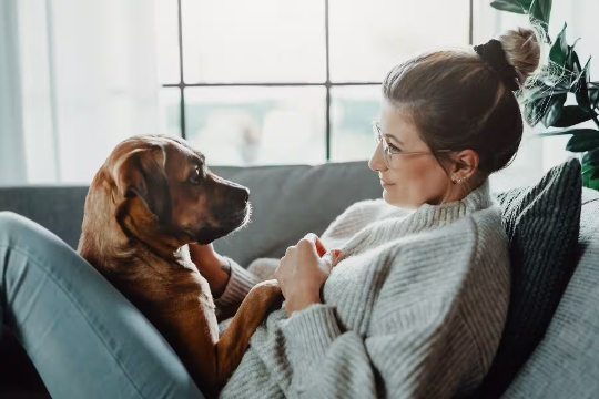 ’n vrou en haar hond wat in mekaar se oë kyk