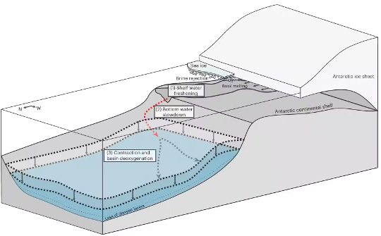 disegno che mostra acque di piattaforma e riduzione del flusso di acqua densa
