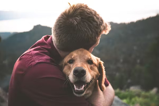 ängstliche Hunde sind anders 7 16