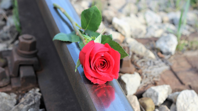en rød rose, der ligger på et jernbanespor