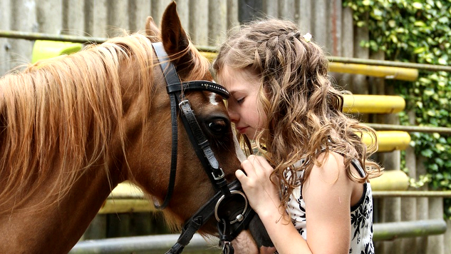 een jong meisje dat met haar gezicht op het voorhoofd van een paard leunt