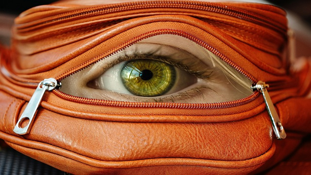 an eye looking out of an unzippered handbag