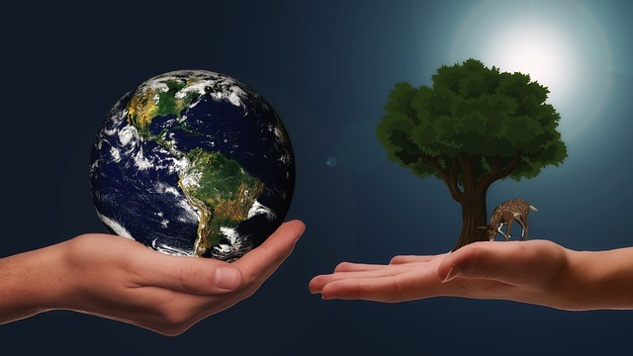 يدان تمسكان ببعضهما البعض - يد واحدة تمسك كوكب الأرض، والأخرى تحمل شجرة