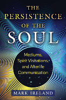 kirjan kansi: The Persistence of the Soul, kirjoittanut Mark Ireland.
