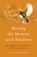 kirjan kansi: Sue Schneiderin Meeting the Moment with Kindness