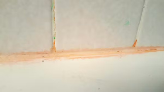 what the color of mold means8 6 26