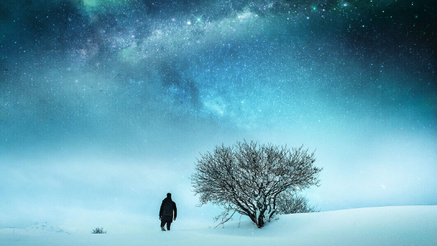 un bărbat lângă un copac gol iarna, noaptea