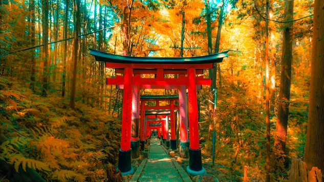 Shinto Gate på dagtid