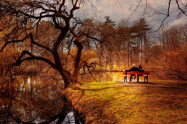 一对夫妇坐在长椅上，周围环绕着树木和大自然
