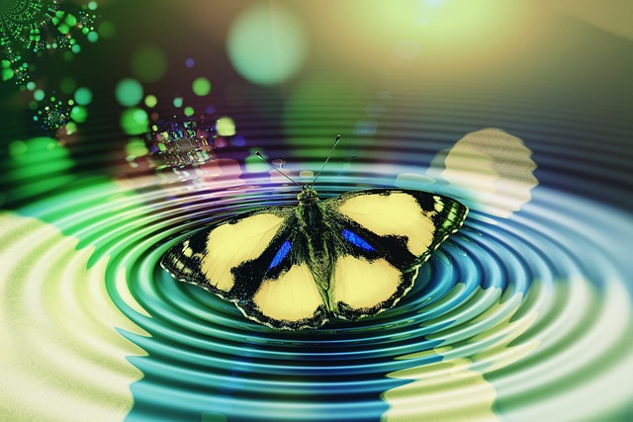 три бабочки в кругу, создающие исходящие волны