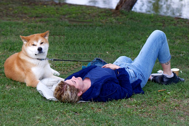 seorang wanita berbaring di atas rumput dengan anjingnya