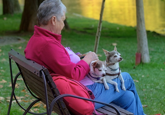 seorang wanita berambut putih duduk di luar dengan dua anjing kecil di pangkuannya