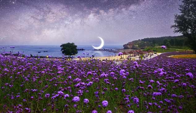 pemandangan indah dengan bunga liar, dan bulan tergantung di atas air