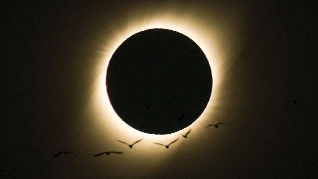 Uccelli durante un'eclissi solare totale