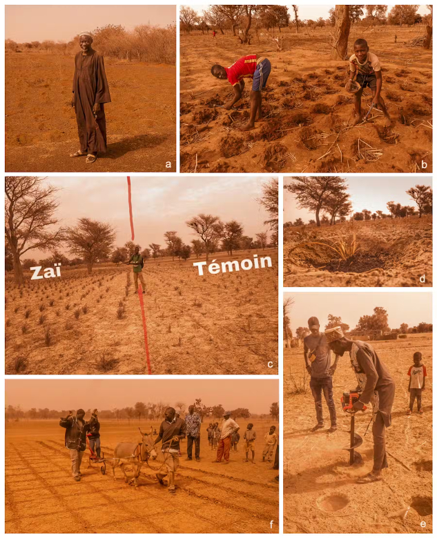 Bauern-Sahel