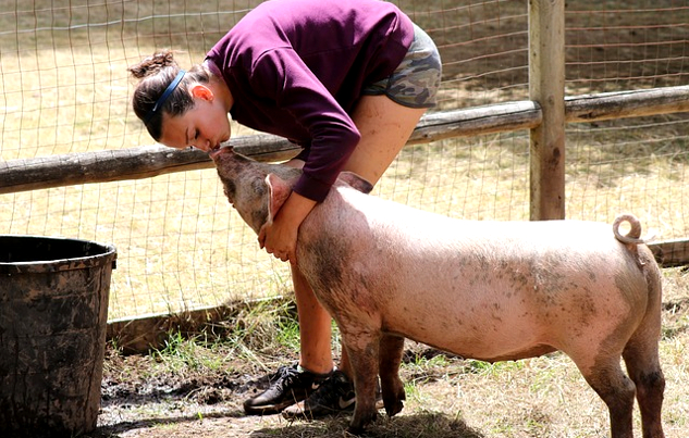 a woman hugging and petting a pig