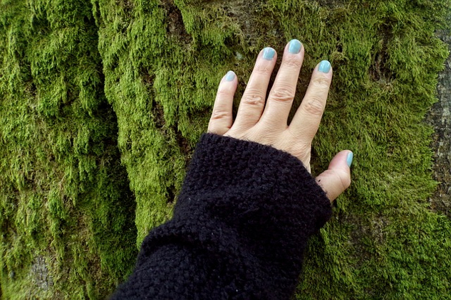 hand resting on the side of a mossy tree trunk