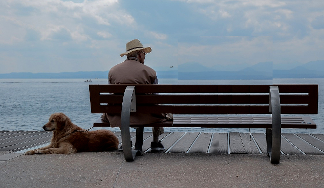 hombre sentado en un banco con su perro tirado en el suelo al lado de hsi