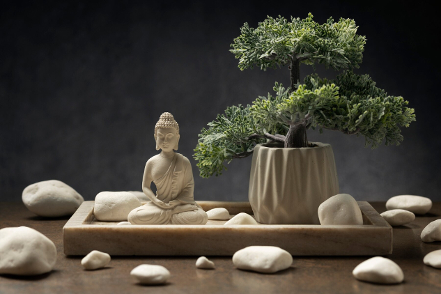 buddha statuette with bonsai tree