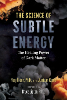 kitap kapağı: Yury Kronn tarafından yazılan İnce Enerji Bilimi, Jurriann Kamp ile birlikte