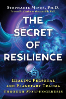 coperta cărții: Secretul rezistenței de Stephanie Mines