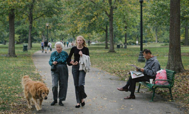 present moment park walk with dog