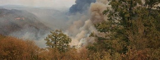 Повышение температуры приведет к торможению лесных пожаров