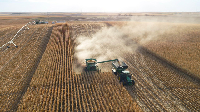 harvesting corn 5 27