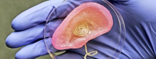 Lucrări de urechi bionice cu o imprimantă 3D
