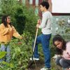 10 Steps to Starting a Community Garden by Peter Ladner