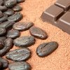 Manger plus de chocolat! Il est bon pour vous! par Bliss Stasia