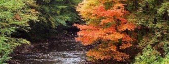 Autumnal Equinox: Nhận thức rõ về môi trường xung quanh chúng ta