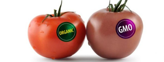 Washingtons GMO-merkingskampanje tar opp hvor Kaliforniens er igjen