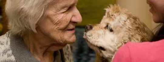 Jinsi Safari ya Uponyaji Ilianza: Me & My Therapy Dog