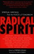 Radical Spirit edited by Stephen Dinan.
