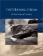 The Widening Stream by David Ulrich.