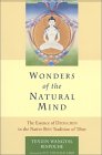 Wonders of the Natural Mind van Tenzin Wangyal.