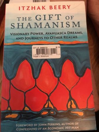 The gift of Shamanism cover