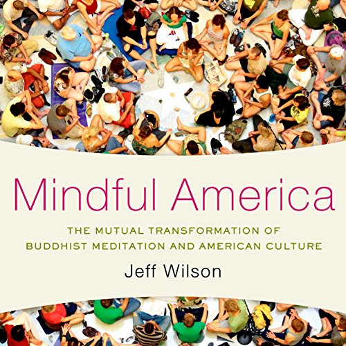 Mindful America