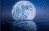물에 반사된 보름달
