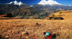 يمكن أن تساعد أنظمة المياه القديمة في بيرو على حماية المجتمعات من النقص الناجم عن تغير المناخ