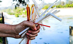 A person holds a handful of discarded straws in front of a body of water