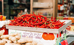 The Quest For The World's Hottest Chilli