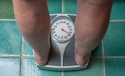 các yếu tố dự báo béo phì 7 15