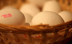 Thật không may, phụ nữ chỉ có trứng mà họ sinh ra. Kyle Brown / Flickr, CC BY-SA
