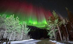 auroras Norvégiában
