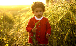 a child standing in a meadow holding wild herb flowers