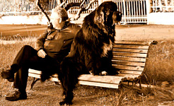 ember és kutyája, egymással szemben, egy padon ülve